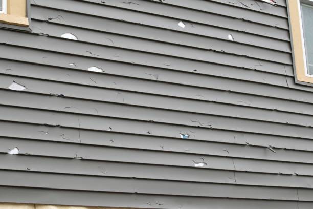 Best Same-Day Junk Removal Services  in Lenwood, CA